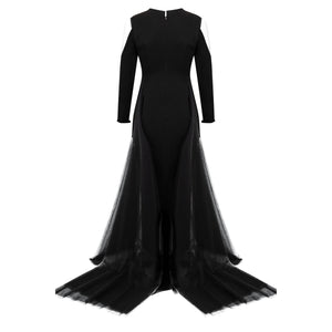 Long Sleeve Skinny Gown With Illusion Cut Out Sleeve and Tulle Applique on Skirt